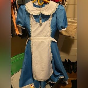 Alice in Wonderland Halloween Costume